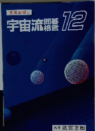 武宮正樹の宇宙流　12