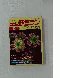 自然と野生ラン　1993年2月1日発行