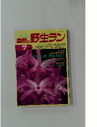 自然と野生ラン