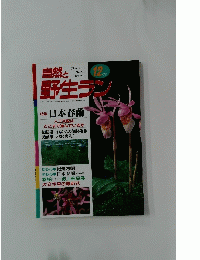  野生ラン