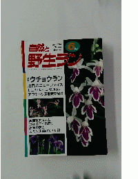 自然と野生ラン　6月号