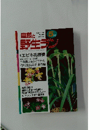自然と野生ラン　1998年5月1日号