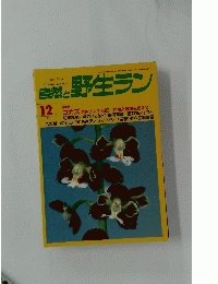 自然と野生ラン　1997年12月号