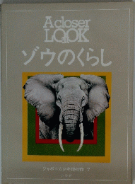 Acloser LOOK at ゾウのくらし　ジャポニカ少年博物館 7