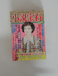小説宝石
