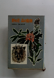 野の花森の動物