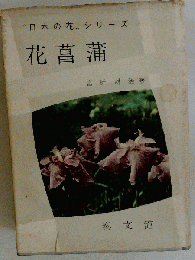 花菖蒲