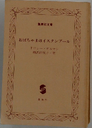 おばちゃまはイスタンブール