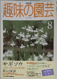 NHK　趣味の園芸　平成11年8月1日号
