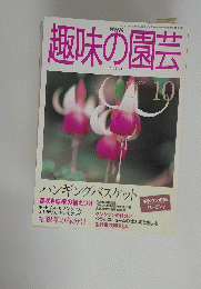 NHK　趣味の園芸　平成11年10月1日号
