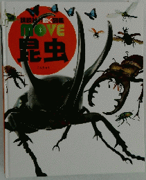 MOVE　昆虫