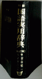 国語実用辞典