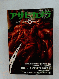 アサヒカメラ　1977年5月号
