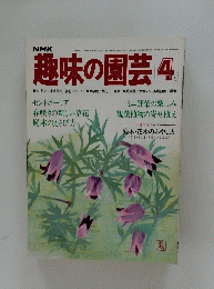 NHK趣味の園芸　1979年4月号