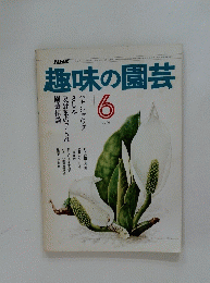 NHK趣味の園芸　1976年6月号
