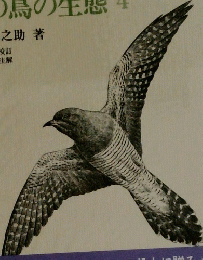 野鳥の生態　4