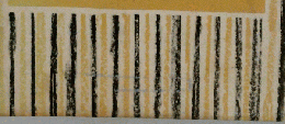 現代隨想全集　5
