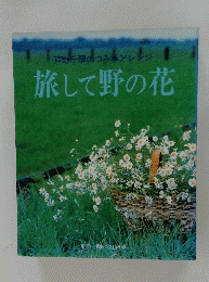 芦野千翠のつみ草アレンジ　旅して野の花