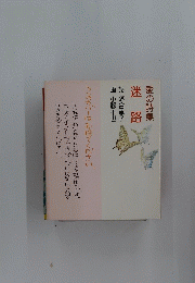 愛の詩集 迷路
