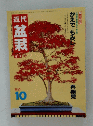 盆栽　1984年10月号