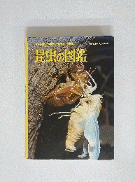 昆虫の図鑑