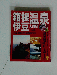 箱伊根豆温泉