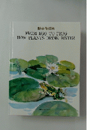 FROM EGG TO FROG HOW PLANTS DRINK WATER