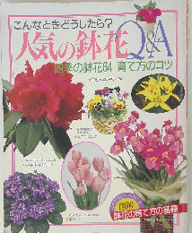 人気の鉢花 　四季の鉢花64 育て方のコツ