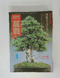 現代盆栽　1983年1月号