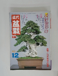 現代盆栽　1983年12月号
