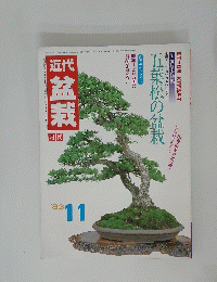 現代盆栽　1983年11月号
