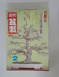 近代 盆栽　1984年2月号