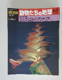 動物たちの地球63