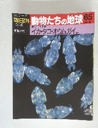 動物たちの地球65