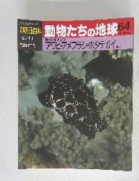 動物たちの地球 64