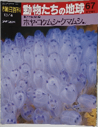 動物たちの地球67
