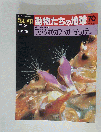 朝日百科動物たちの地球 70