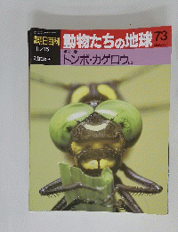 動物たちの地球73