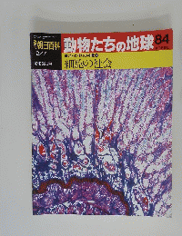 朝日百科動物たちの地球 84