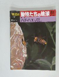 動物たちの地球 81