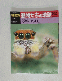 動物たちの地球82