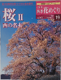 桜Ⅱ　19　