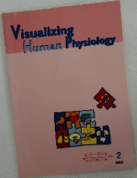 Visualizing　Human　Physiology