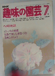 趣味の園芸 7月
