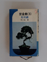 豆盆栽(3) 松柏編