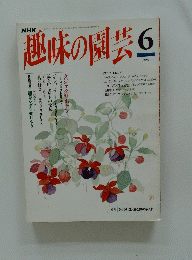 趣味の園芸 1994年6月号