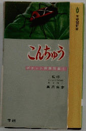 こんちゅう　