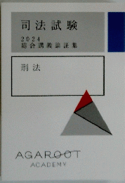 司法試験 2024 刑法