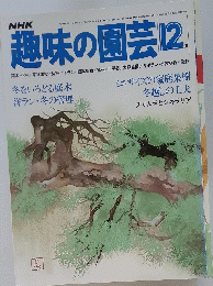 趣味の園芸　昭和５１年12月号