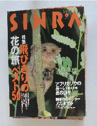 SINRA　4